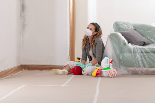 Reliable Mold Testing contractor in Highwood, IL by WQB Mold Removal